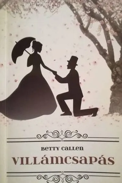 Villámcsapás borítója